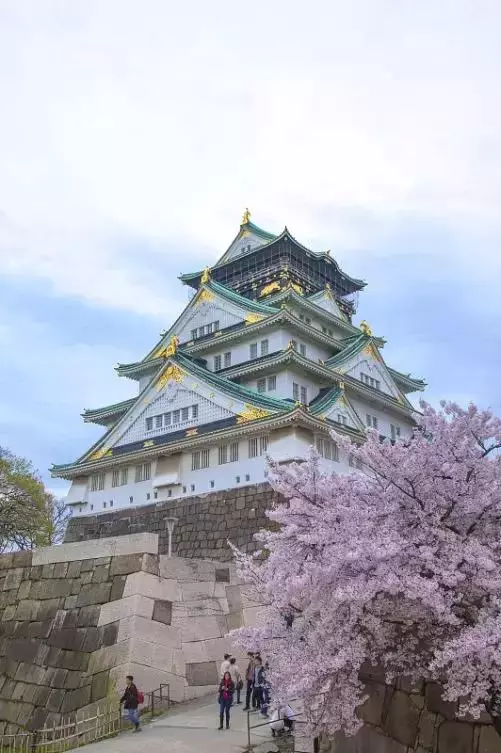 2019年日本櫻花季日程出爐!看完就可以趕緊請假啦!
