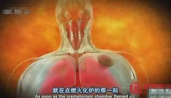 殯儀館工作人員親身經歷,焚化爐慘叫聲不斷,是真是假?