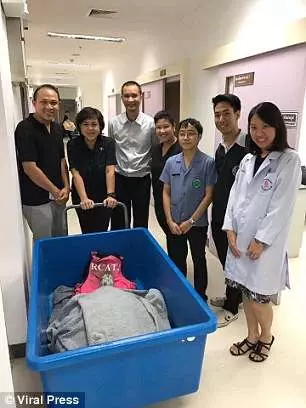 這隻海龜龜殼破裂,無法呼吸,獸醫們都以為牠患了腫瘤!沒想到CT掃描後發現.....簡直是活體「銀行」啊!!