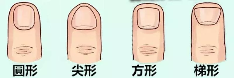 你的「指甲形狀」是哪一種?原來「這種形狀」的人比較聰明.....準到尖叫!