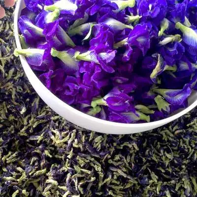 深受台灣人喜歡的蝶豆花茶,花青素10倍喝,兩步自製蝶豆花茶,抗老抗氧化、預防糖尿病,一杯6種功效,但唯獨這四種人不能碰