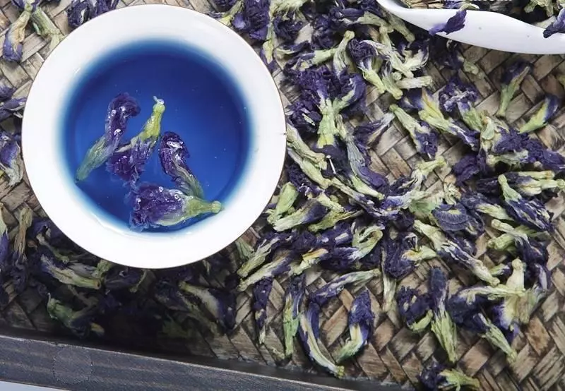 深受台灣人喜歡的蝶豆花茶,花青素10倍喝,兩步自製蝶豆花茶,抗老抗氧化、預防糖尿病,一杯6種功效,但唯獨這四種人不能碰