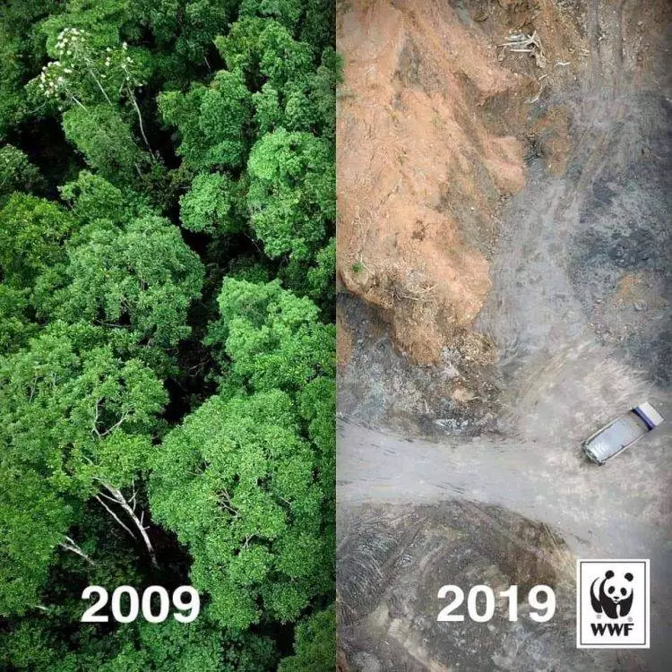 【人類是最可怕的!】地球的 #10yearschallenge 讓你感到『這些發明不應該存活』在世上!!