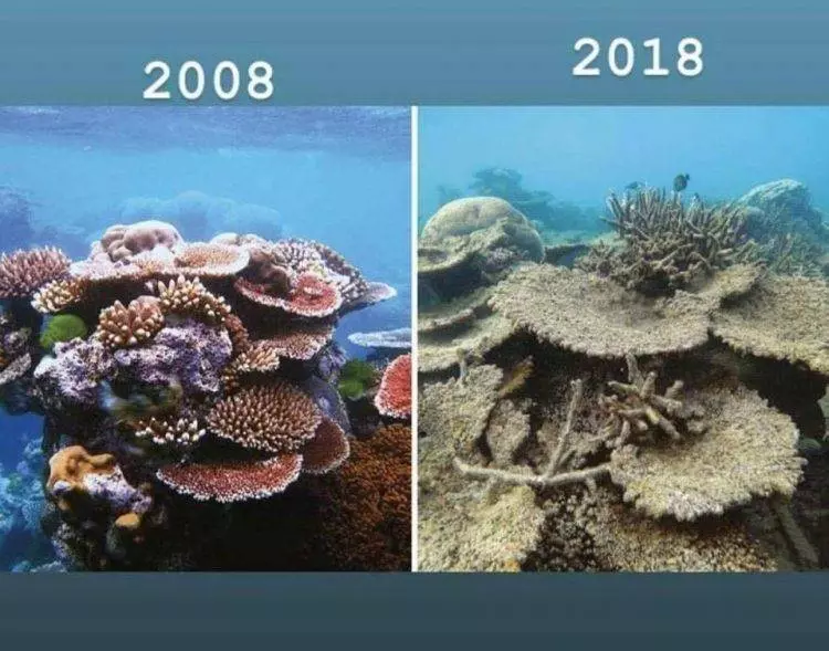 【人類是最可怕的!】地球的 #10yearschallenge 讓你感到『這些發明不應該存活』在世上!!