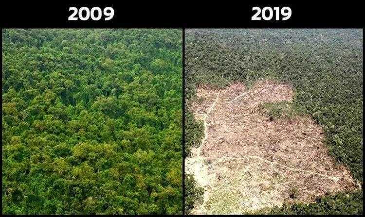 【人類是最可怕的!】地球的 #10yearschallenge 讓你感到『這些發明不應該存活』在世上!!