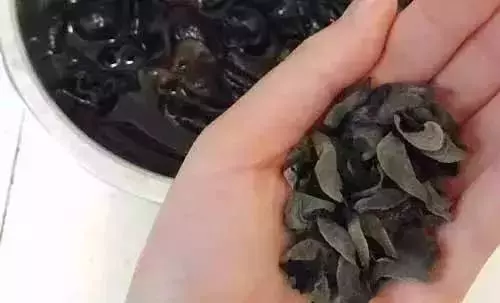 別再喝骨頭湯了!補鈣第一名竟是它,真是也猜不到!快看看吧,想補鈣多吃它!
