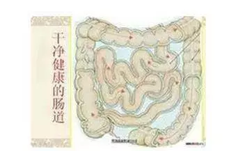 超厲害! 吃這個水果,比奇異果「清宿便」效果還強100倍!親身試過,真的超有效!!