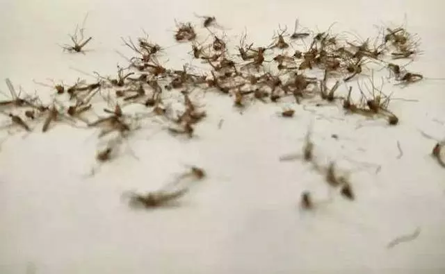 生活小竅門,一招搞定生活中的小困難,不可錯過哦