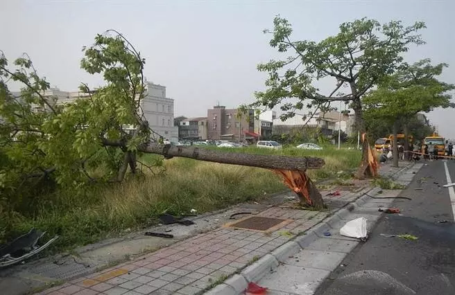 又是酒駕!21歲BMW男酒駕載友 女機車騎士狠撞拖行「屍首分離」亡!
