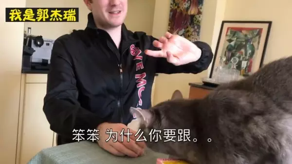 台灣「川貝枇杷膏」在美國爆紅被瘋搶!獨門新秘方「枇杷膏配這一起喝」瞬間價格翻十倍!