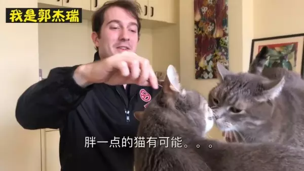 台灣「川貝枇杷膏」在美國爆紅被瘋搶!獨門新秘方「枇杷膏配這一起喝」瞬間價格翻十倍!