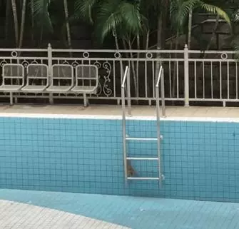 小奶貓掉進泳池中,流浪貓媽:你要學會自己上來,因為我遲早會離開你