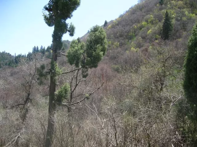 摩托車騎行蘭州吐魯溝