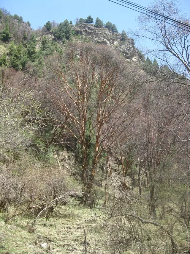摩托車騎行蘭州吐魯溝
