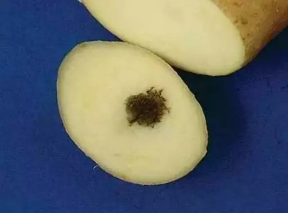 提個醒:購買食鹽要仔細,這樣的不要買,學會再也不會上當了