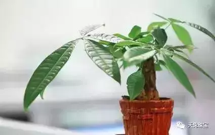 鞋子擺錯方向?你不漏財誰漏財?(風水禁忌之招財篇)