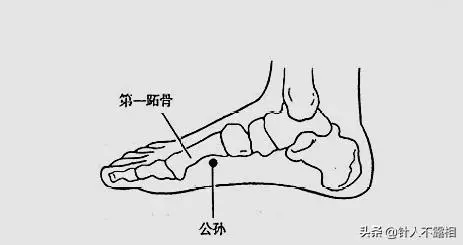 掌握這8個穴位,將健康配齊!