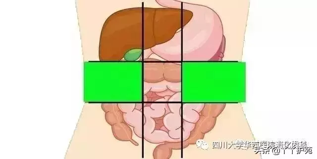 一張腹部地圖,了解腹痛
