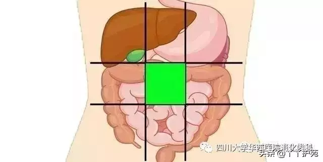一張腹部地圖,了解腹痛