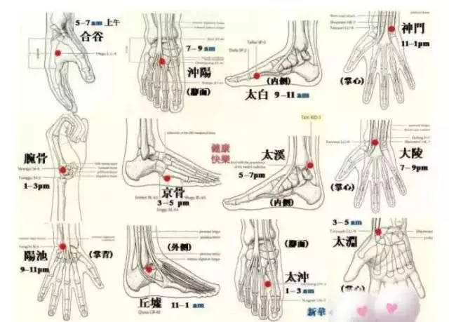 十二原是怎樣提出來的?有何重要性?