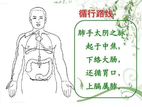 賁門、幽門、闌門、魄門(七衝門)的意義與穴位的關係如何?