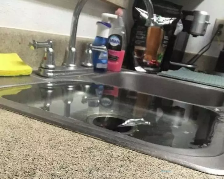 一生運氣就用在這一次! 20張「值得向全世界炫耀」的幸運照