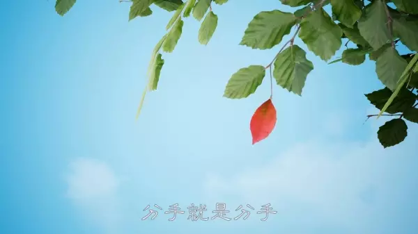 曾經最美!兩個人,過去不合適,往後也不會合適!