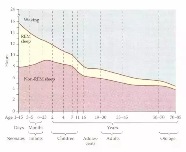 鬼壓床?奇怪的夢?為什麼睡覺?|關於睡眠的四個小秘密