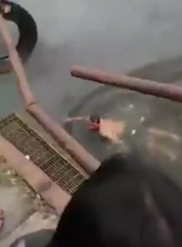 巫師自稱法力無邊,能控制鱷魚!跳進鱷魚池後,被鱷魚拖走身亡