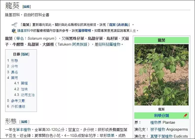 一鍋粥讓人想哭!她好奇問網友「歐迪啊粥是什麼?」 南部人秒懂「回憶全湧上來」:阿嬤的味道