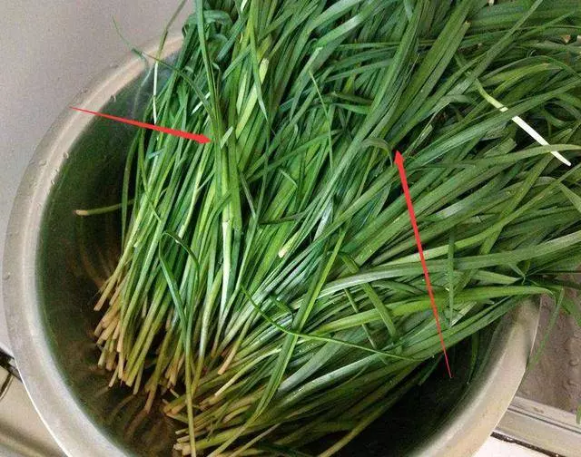 脂肪最怕這6種鹼性食物,每天堅持吃一點,幫你慢慢養成易瘦體質
