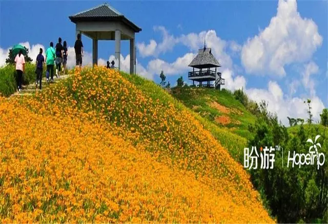 如果2018這些景區你沒有去過,希望2019你不要錯過!