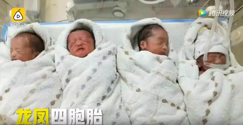 70萬分之一的幸運!媽媽產下「罕見龍鳳四胞胎」 一次湊到「兩個好」爸暖喊: 生活再難也不願放棄 !