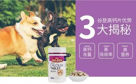 幼犬如果缺鈣了會怎麼樣?幼犬缺鈣吃什麼補鈣效果最快最好?