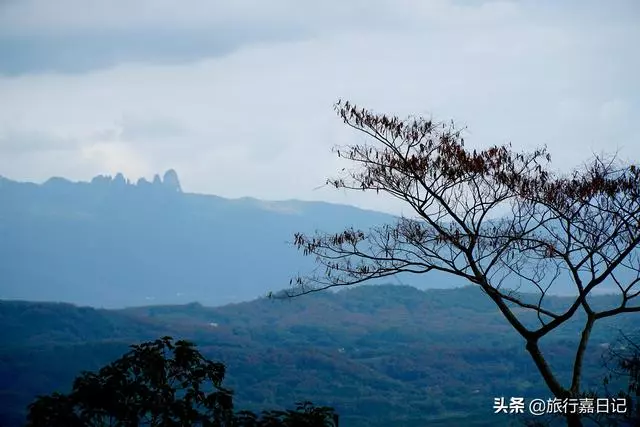 探秘海南神秘石林,全世界僅有二處,無人機在此處失控險炸機