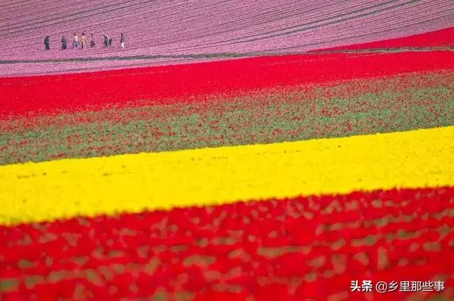 世界最神奇的22個地方,見過兩個算你牛!
