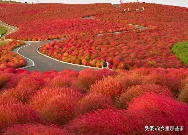 世界最神奇的22個地方,見過兩個算你牛!