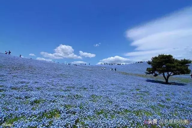 世界最神奇的22個地方,見過兩個算你牛!