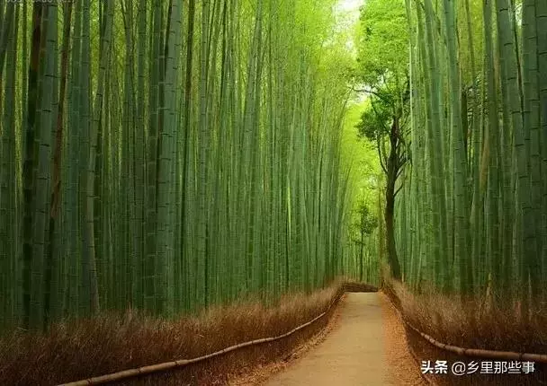 世界最神奇的22個地方,見過兩個算你牛!