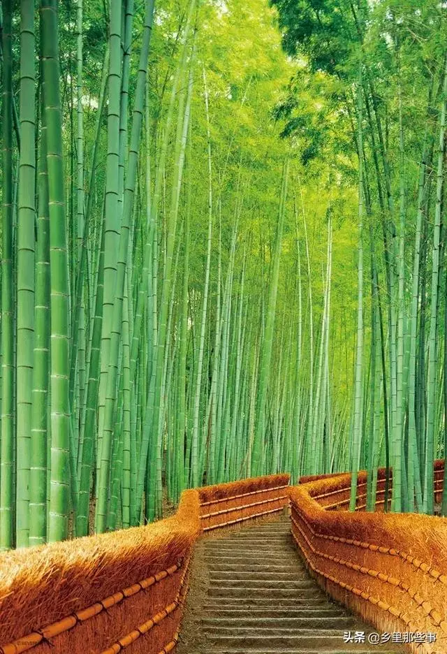 世界最神奇的22個地方,見過兩個算你牛!