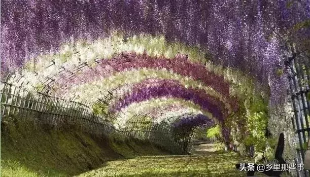 世界最神奇的22個地方,見過兩個算你牛!