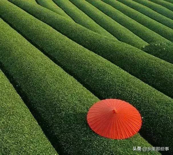 世界最神奇的22個地方,見過兩個算你牛!
