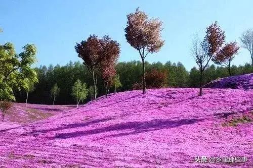 世界最神奇的22個地方,見過兩個算你牛!