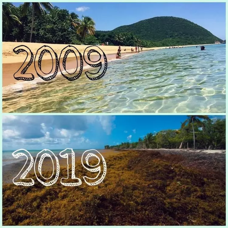 還在對比你老了多少?「地球版的十年挑戰」看到最後讓所有人都安靜了...網喊:不玩了 - 世界探索 - 十年挑戰,地球版