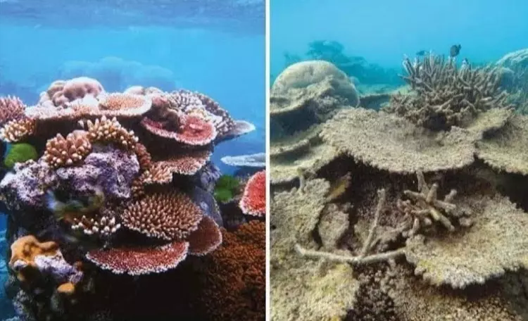 還在對比你老了多少?「地球版的十年挑戰」看到最後讓所有人都安靜了...網喊:不玩了 - 世界探索 - 十年挑戰,地球版