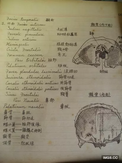 90歲爺爺留學筆記清晰規整讓人讚嘆!