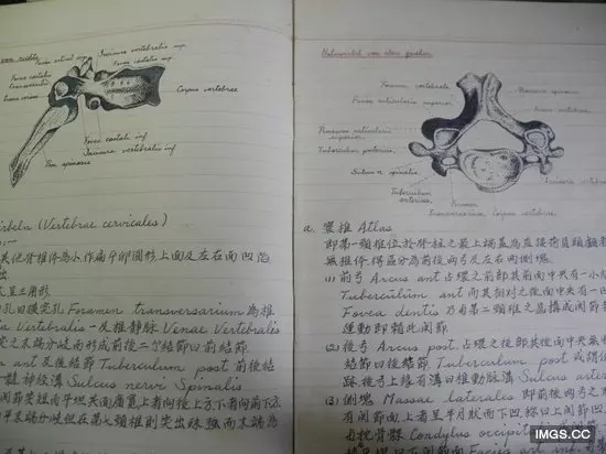 90歲爺爺留學筆記清晰規整讓人讚嘆!