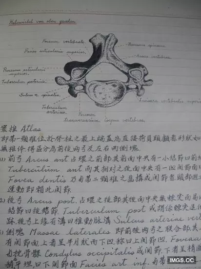 90歲爺爺留學筆記清晰規整讓人讚嘆!