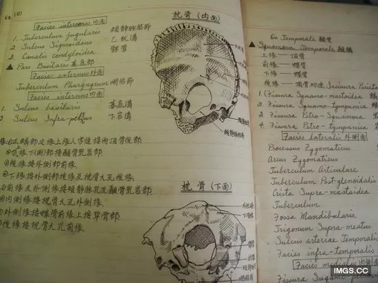 90歲爺爺留學筆記清晰規整讓人讚嘆!