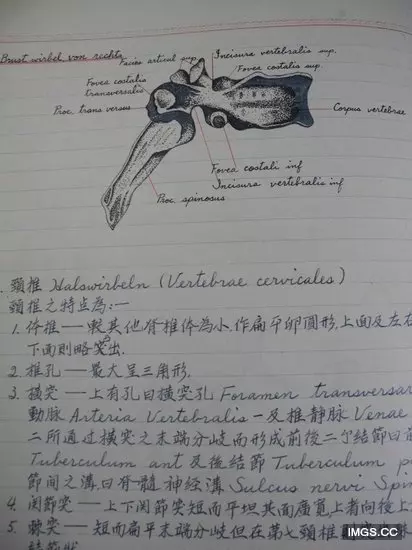 90歲爺爺留學筆記清晰規整讓人讚嘆!
